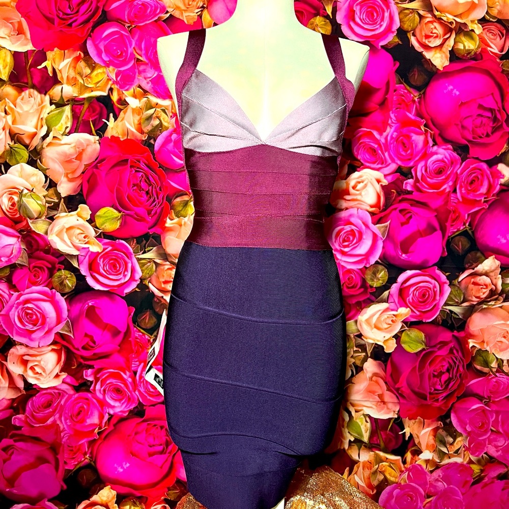 Herve Leger Dress